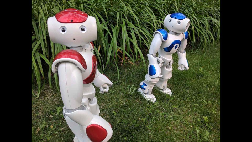 Blueberry and Raspberry (SoftBank Aldebaran Robotics Nao) in HumanMachine at the 2018 Edmonton Fringe as Raspmeo and Blueberiette, YouTube