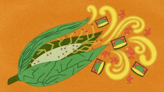 %!s(uint64=2018) Research Thumbnail