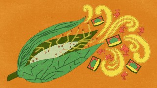 %!s(uint64=2018) Research Thumbnail